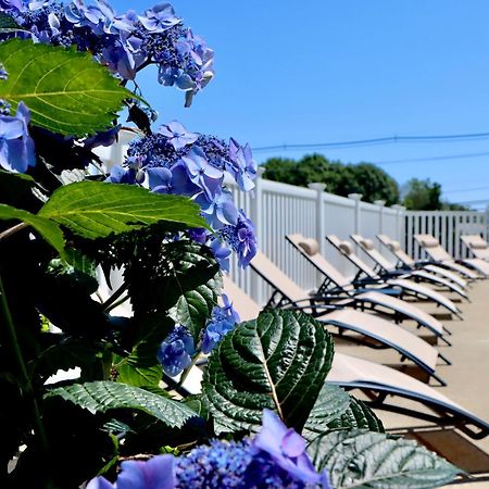 Sea View Motel Ogunquit Extérieur photo
